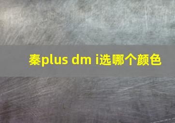 秦plus dm i选哪个颜色